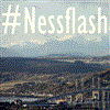 Nessflash
