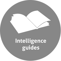 intelligence guides grey