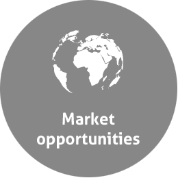 market opportunities grey